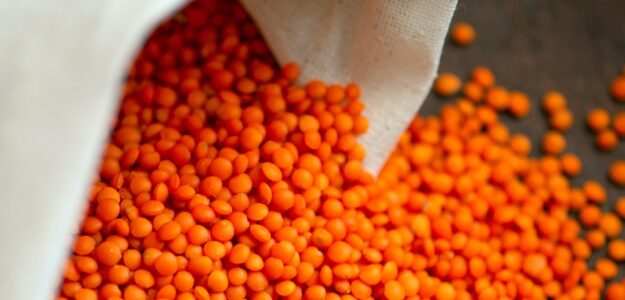 lentils, food, beans, healthy, vegetarian, vegan, natural, nutrition, organic, lentils, lentils, lentils, lentils, lentils